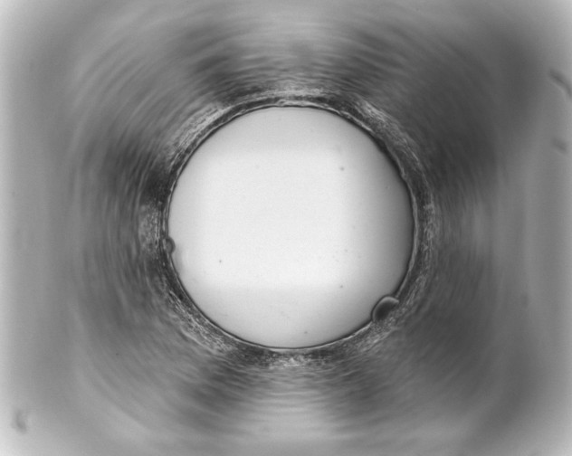 X0000101421169200807280931