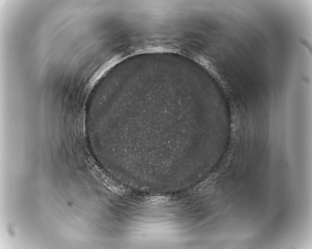 X0000101421173200807280931
