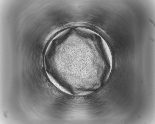 X0000101421174200807280931
