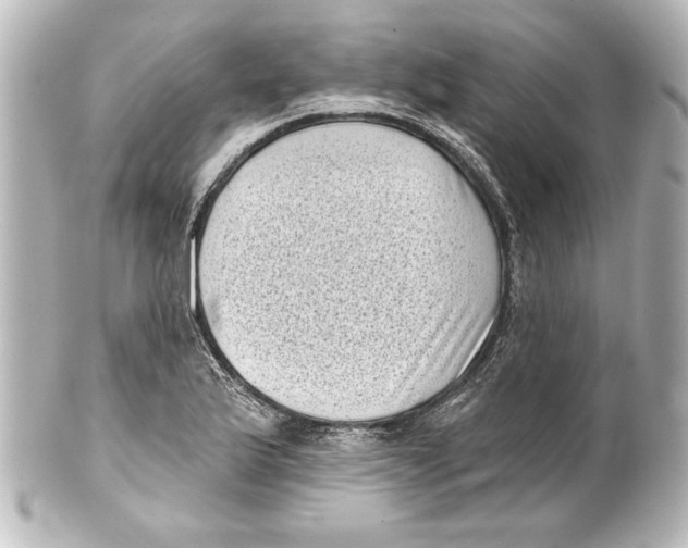X0000101421175200807280931