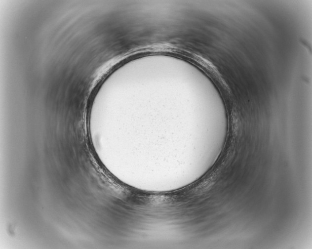 X0000101421176200807280931