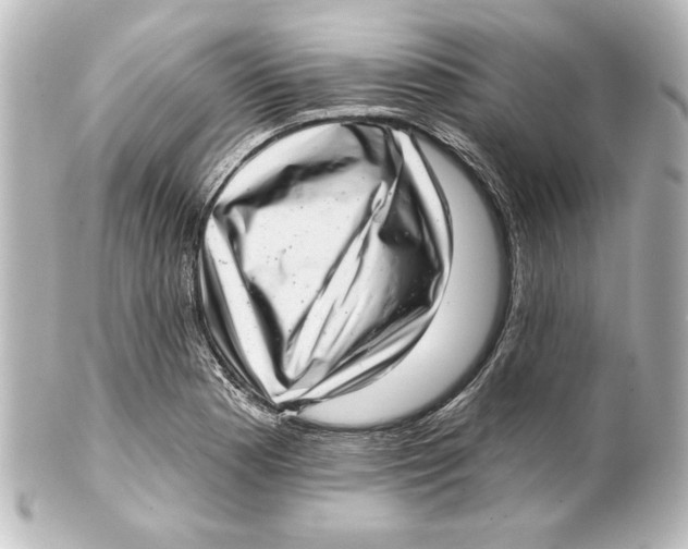 X0000101421177200807280931