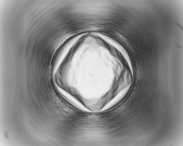 X0000101421178200807280931