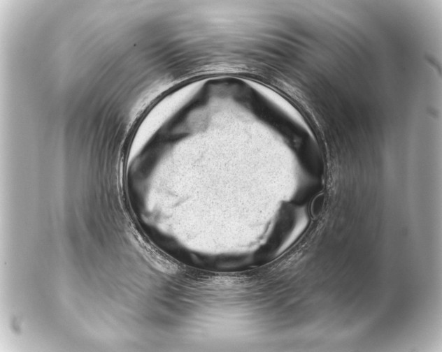 X0000101421179200807280931