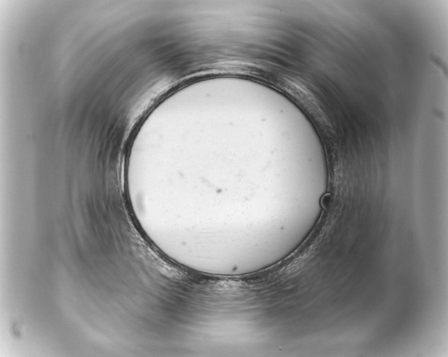 X0000101421180200807280931