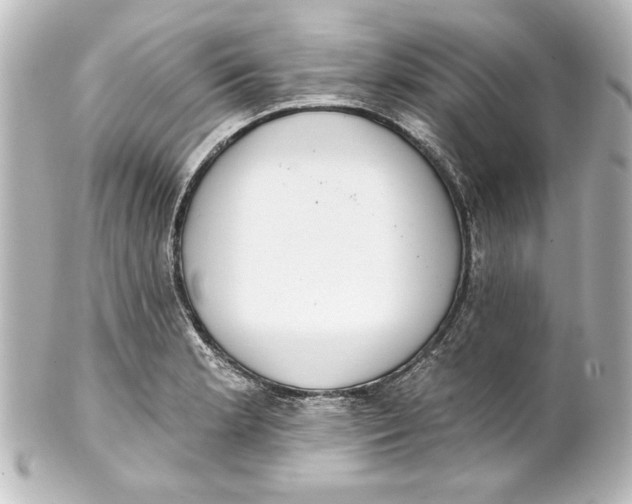 X0000101421181200807280931