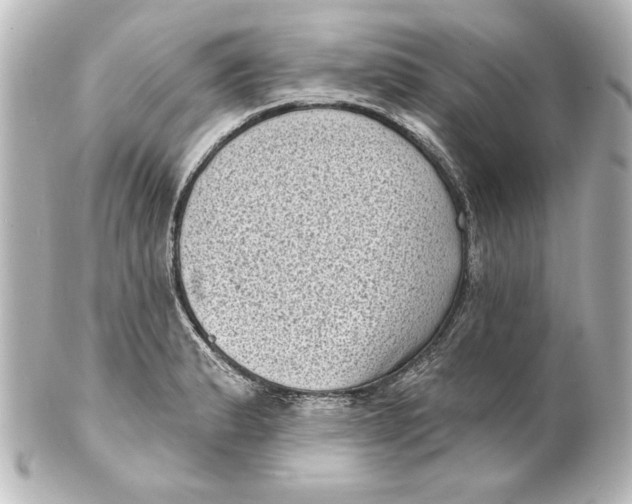 X0000101421183200807280931