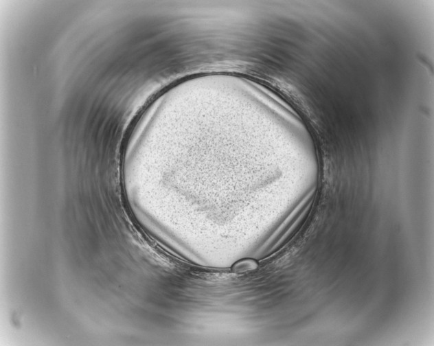 X0000101421184200807280931