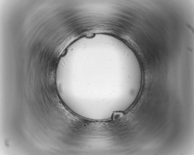 X0000101421185200807280930