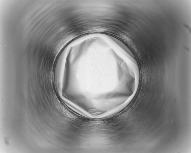 X0000101421186200807280930
