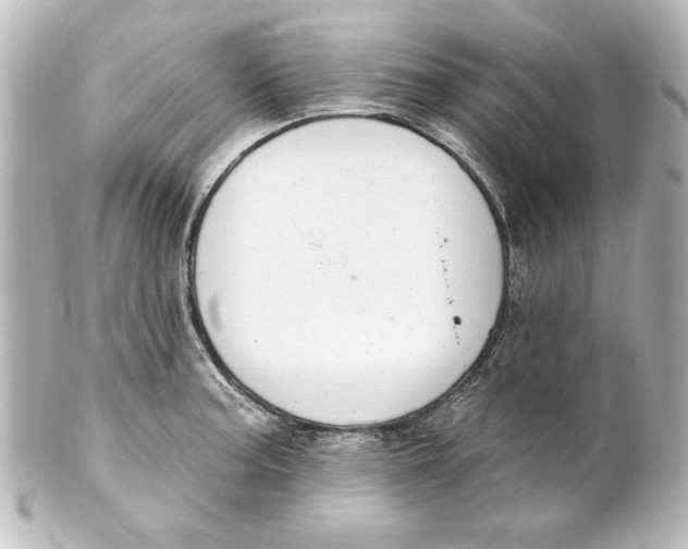X0000101421187200807280930