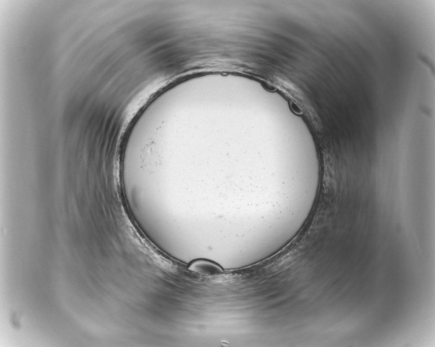 X0000101421188200807280930