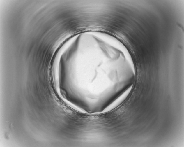 X0000101421190200807280930