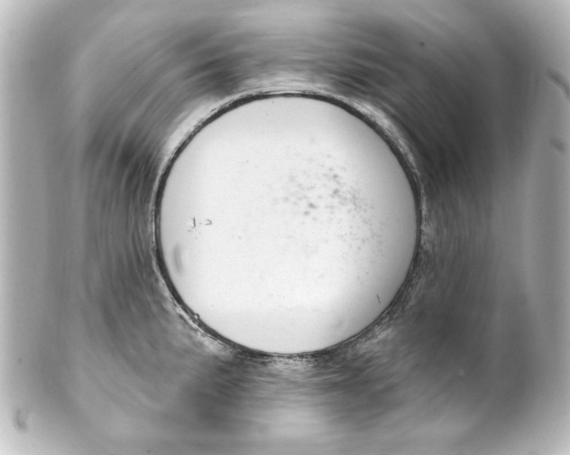 X0000101421191200807280930