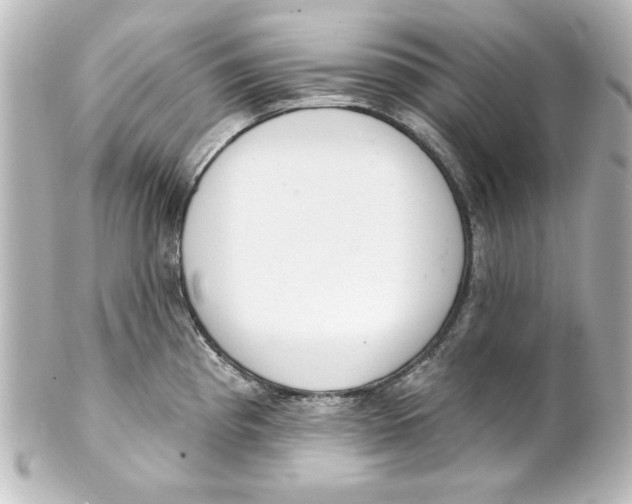 X0000101421193200807280930