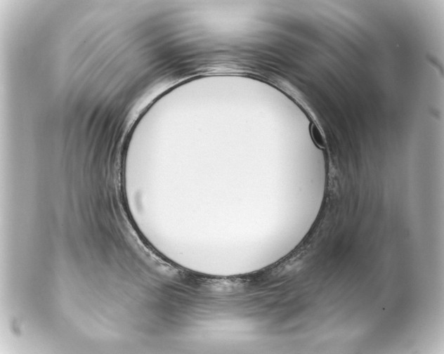 X0000101421195200807280930