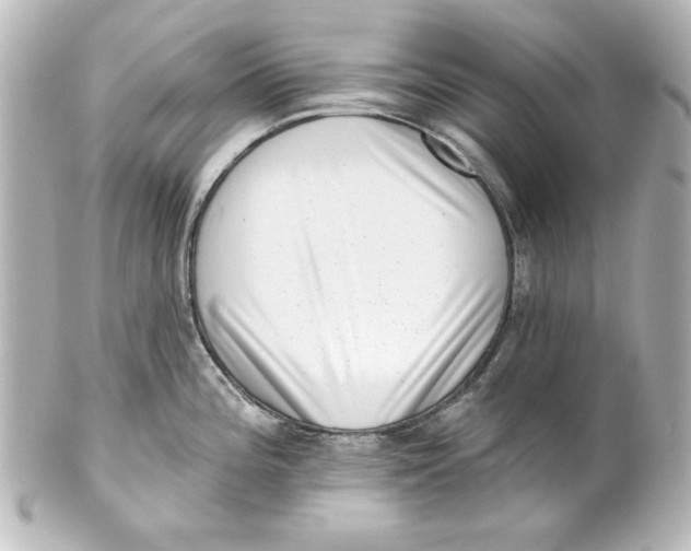 X0000101421196200807280930