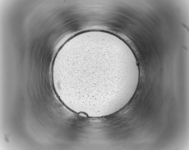 X0000101421199200807280930