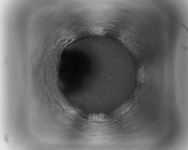 X0000101421201200807280930