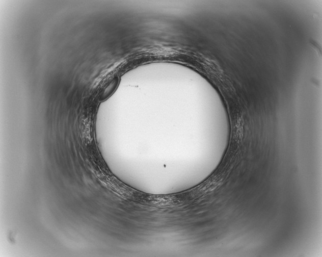 X0000101421205200807280930