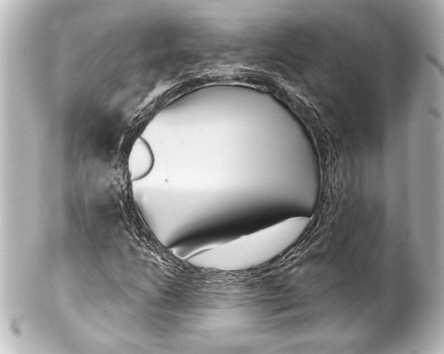 X0000101421206200807280930
