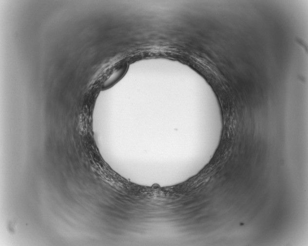 X0000101421207200807280930