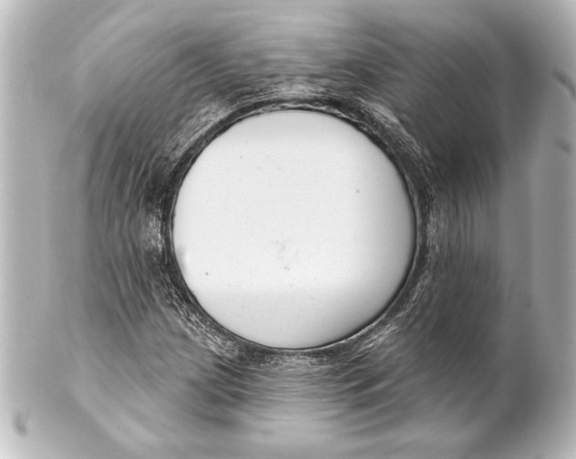 X0000101421209200807280930