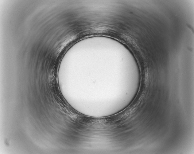 X0000101421210200807280930