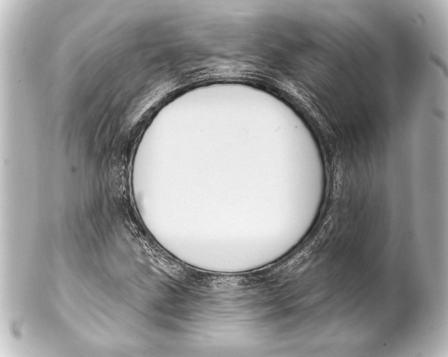 X0000101421211200807280930