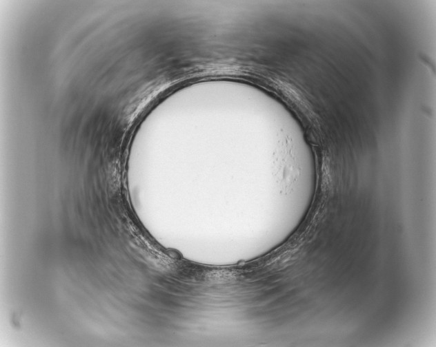 X0000101421212200807280930