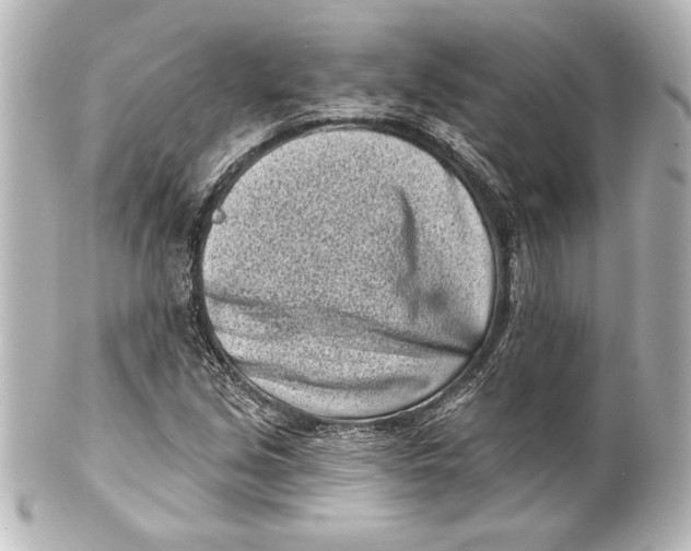 X0000101421213200807280930