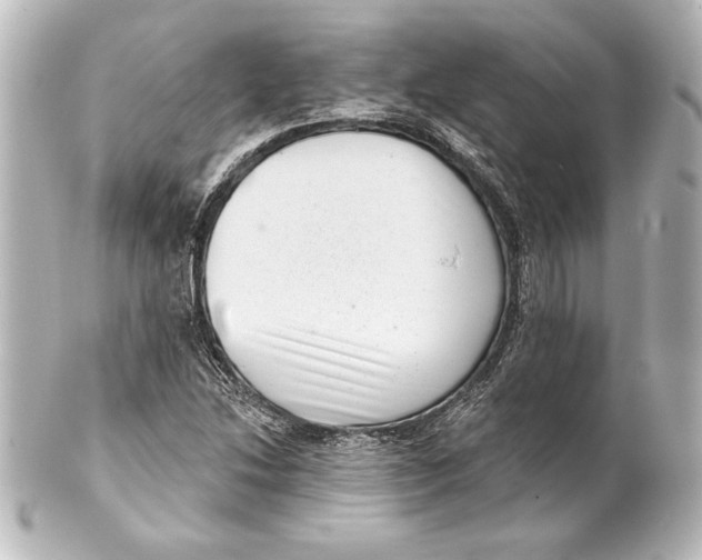 X0000101421214200807280930