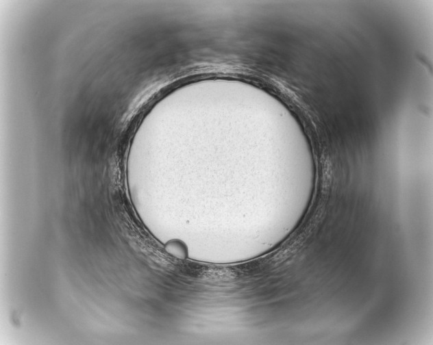 X0000101421215200807280930