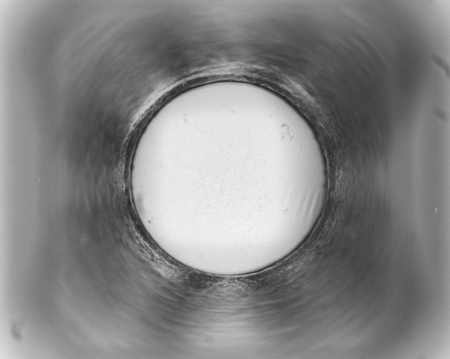 X0000101421216200807280930