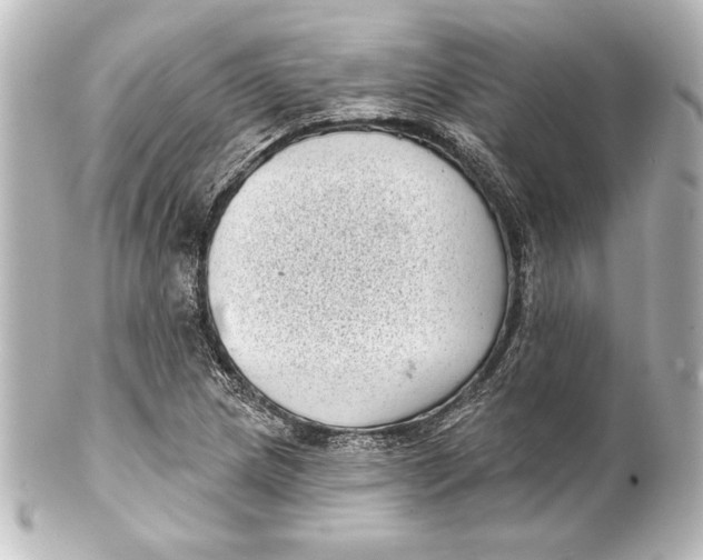 X0000101421217200807280930