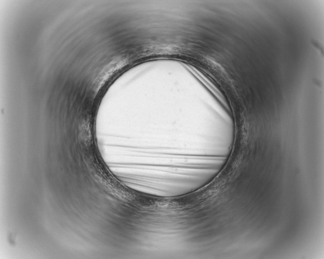 X0000101421218200807280930