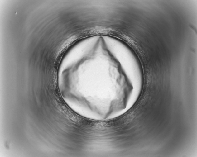 X0000101421219200807280930