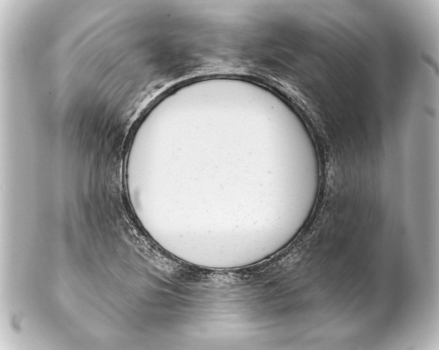 X0000101421220200807280930