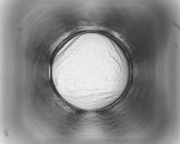 X0000101421221200807280930