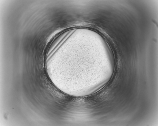 X0000101421222200807280930