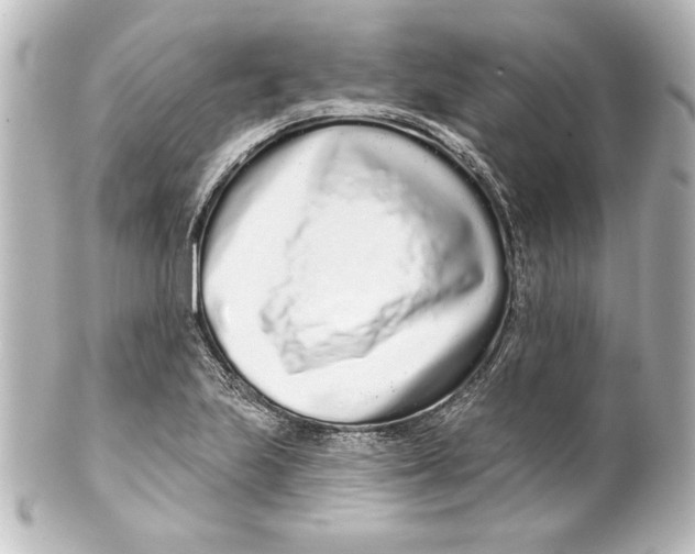 X0000101421223200807280930