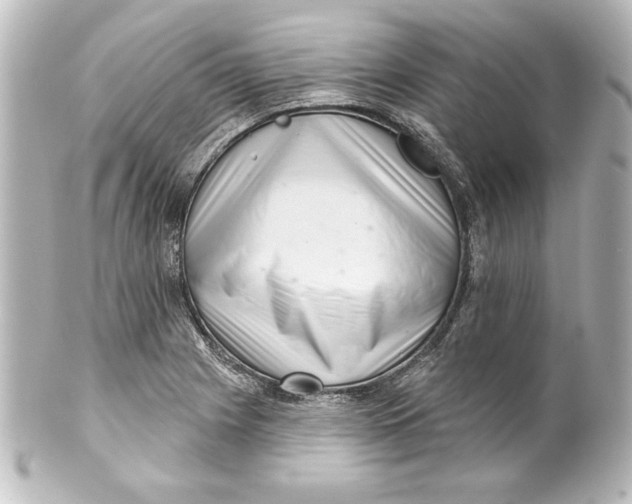 X0000101421225200807280930