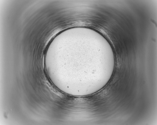 X0000101421227200807280930