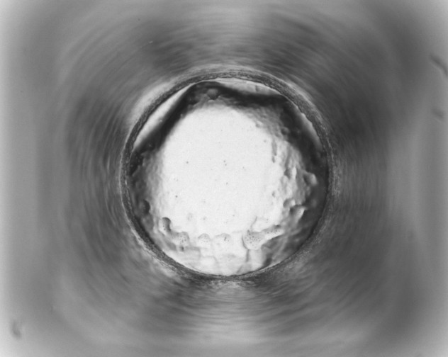 X0000101421231200807280930
