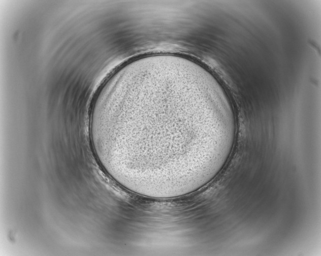 X0000101421232200807280930