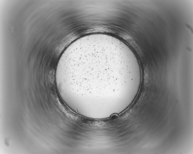 X0000101421233200807280930