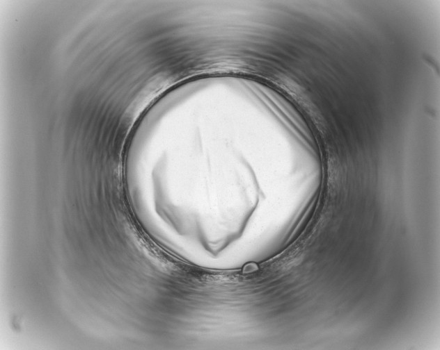 X0000101421234200807280930