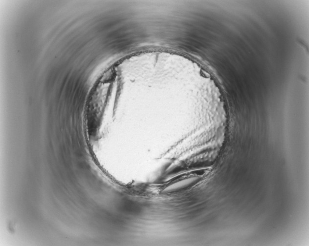 X0000101421239200807280930