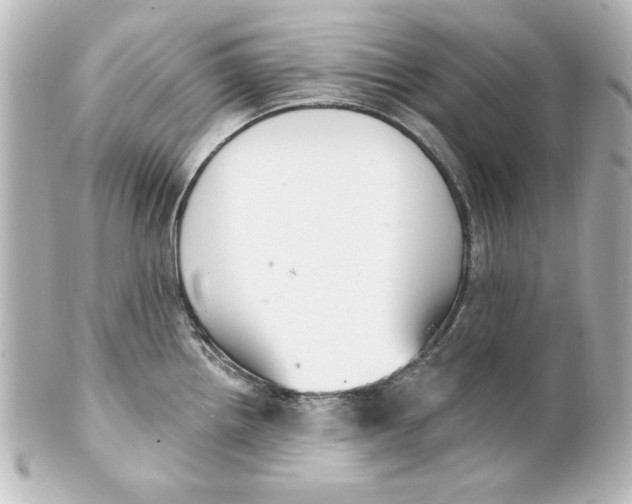 X0000101421242200807280930
