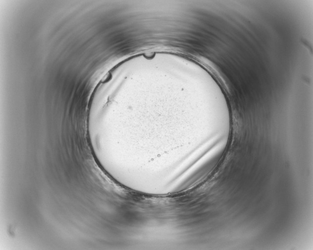X0000101421244200807280930